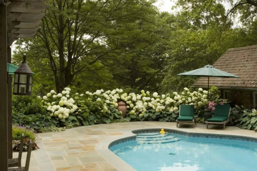 Freshen Up Your Poolside with Colorful Flowers