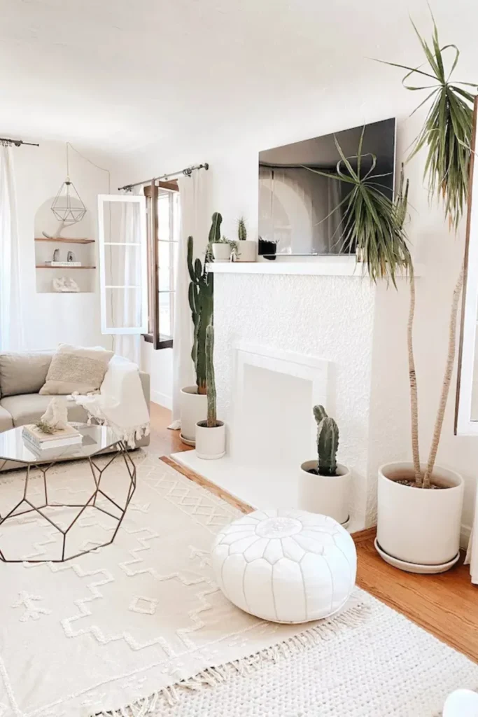 Indoor Plants in Boho Decor