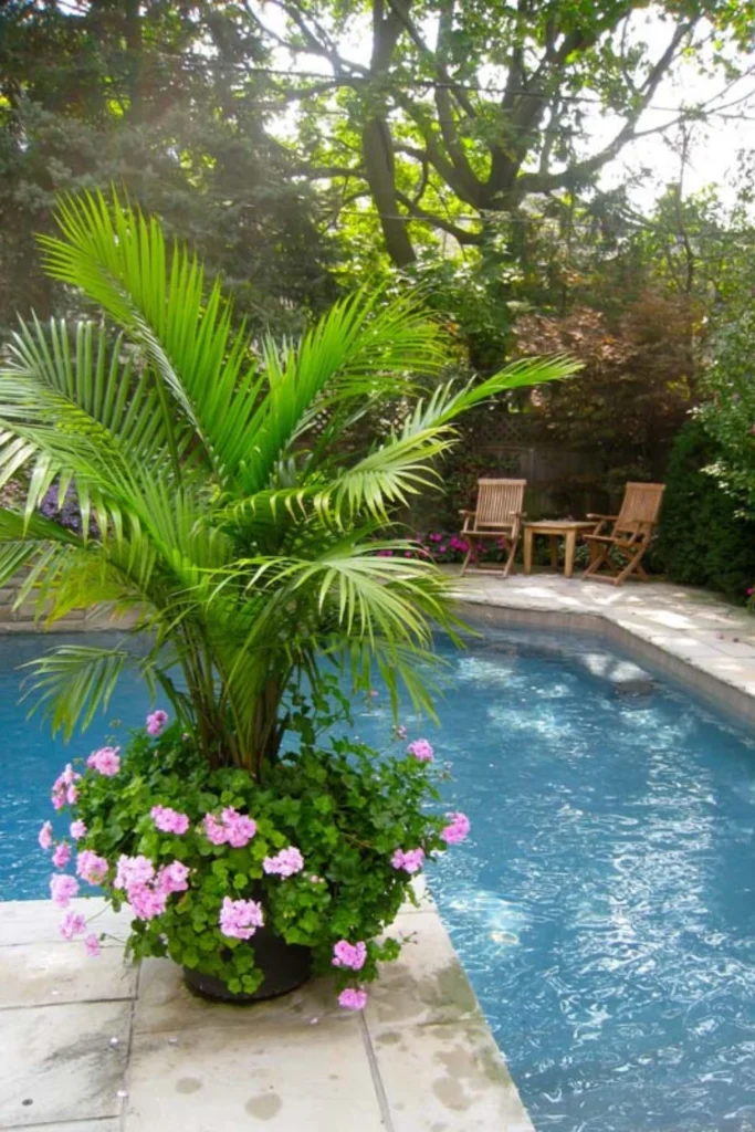 Island Vibe With Potted Plants