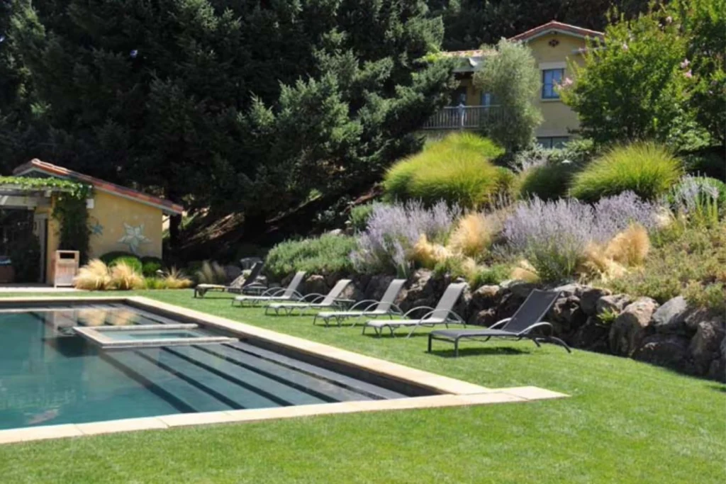 Transform a Pool Area with Sage Bushes and Flowering Plants